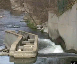 Imagen del canal 3/24
