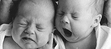 Bebés